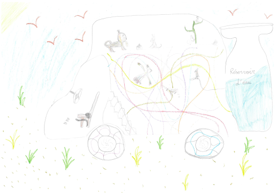 La voiture à deux espèces animales - Maïly